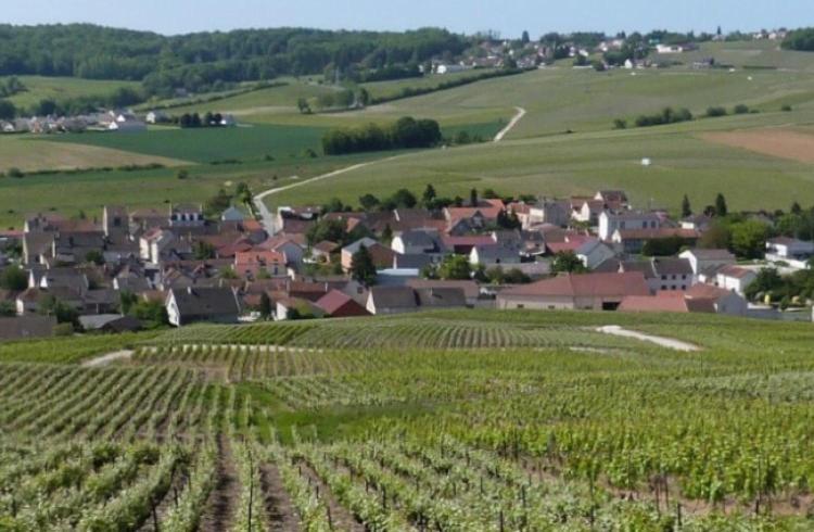 비나이 La Longere De Vin'Ay 아파트 외부 사진